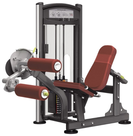 Тренажер со встроенными весами AeroFit IT9307