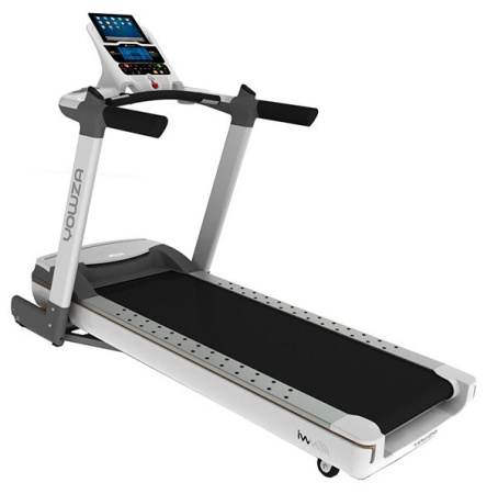 Электрическая беговая дорожка Eurofit Boca Pro IWM