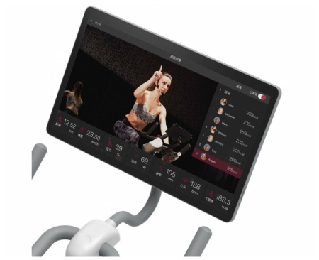 Велотренажер DFC Yesoul BS3-W-21.5 белый