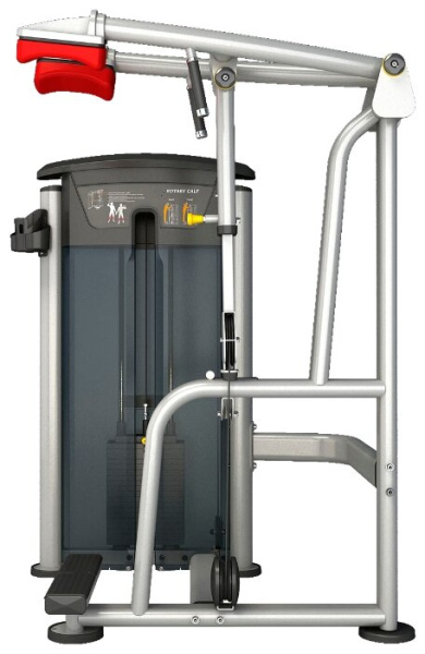 Тренажер со встроенными весами AeroFit IT9516