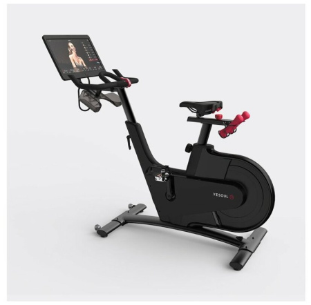 Велотренажер DFC Yesoul BV1-B-21.5 черный