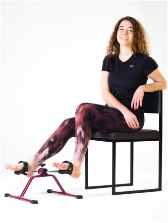 Велотренажер Bellforia E-02BO (бордовый)