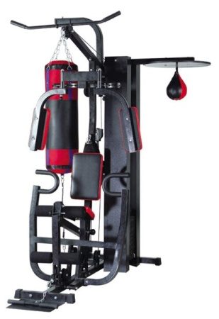 Многофункциональный тренажер DFC D3001C1