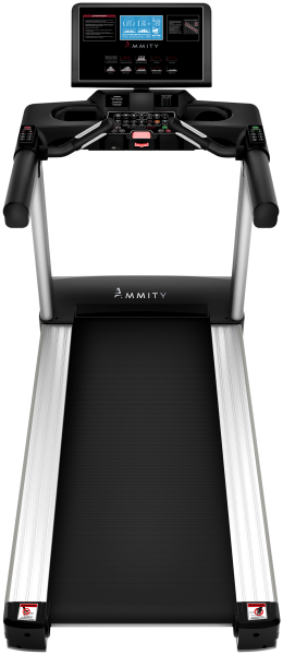 Беговая дорожка AMMITY Pro ATM 4000