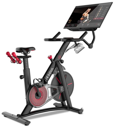 Велотренажер YESOUL G1 MAX Smart Spinning Bike, черный