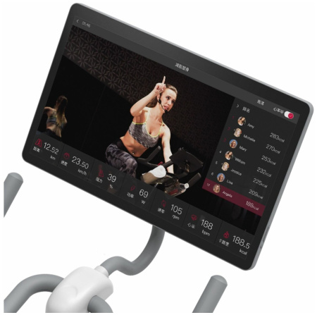 Велотренажер YESOUL BS3-W PRO PLUS (белый)