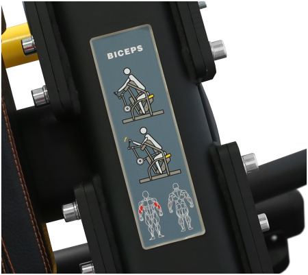 Бицепс Bronze Gym PL-1713