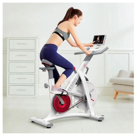 Вертикальный велотренажер YESOUL Smart Spinning bike S3 Pro
