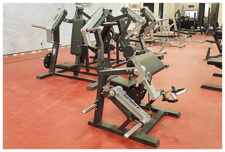 Бицепс машина SPIRIT SP-4513