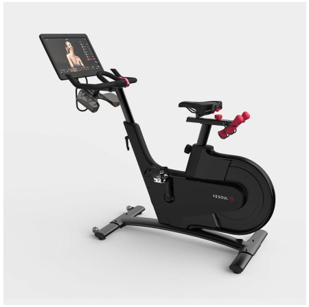 Велотренажер YESOUL BV1-B PLUS (черный)