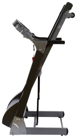 Электрическая беговая дорожка Alpha Fitness Miracle