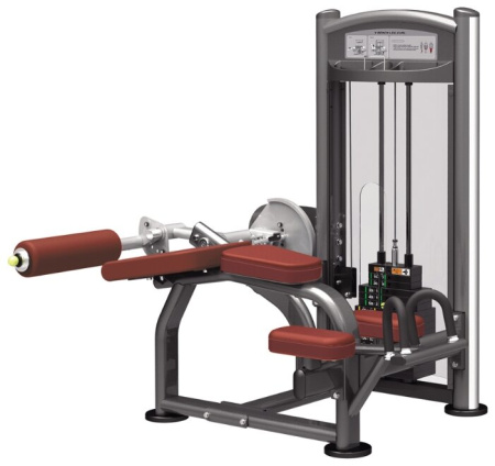 Тренажер со встроенными весами AeroFit IT9321