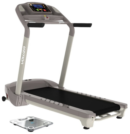 Электрическая беговая дорожка Eurofit Sebring IWM