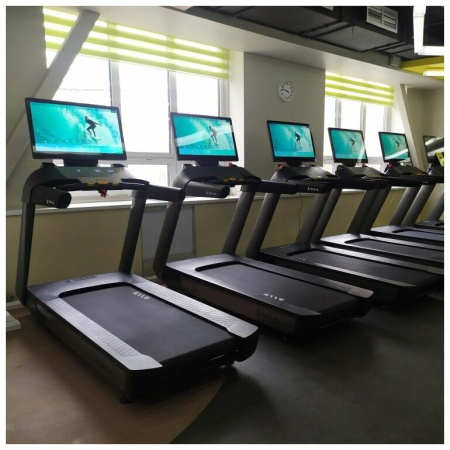 Профессиональная беговая дорожка SHUA SH-T9100T