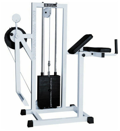 Тренажер для ягодичных бедра радиальный V-Sport FT-131