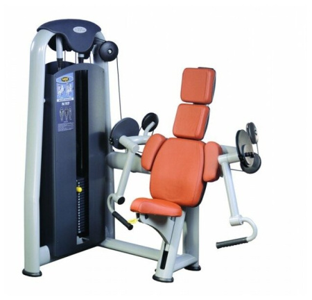 Бицепс машина V-Sport N-117