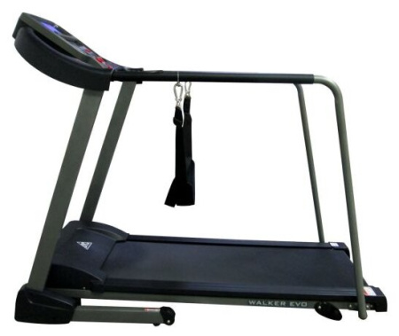 Электрическая беговая дорожка DFC Walker Evo T-S1