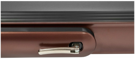 Беговая дорожка Titanium Masters Slimtech C20 (коричневая)