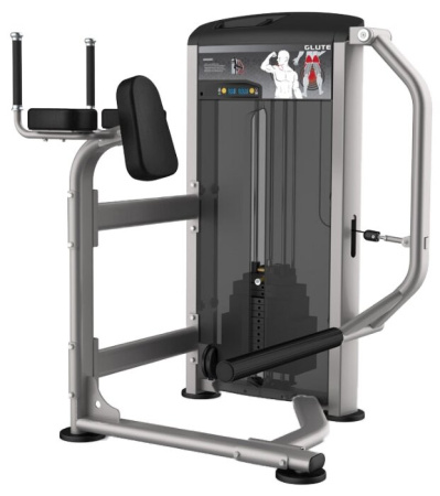 Тренажер со встроенными весами AeroFit Impulse Elite IE9526