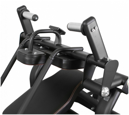 Пресс-скамья Bronze Gym PL-1720